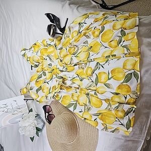 Luxury Sundress Fit & Flare Pleated Sleeveless Plus Size Dress, Size 14W